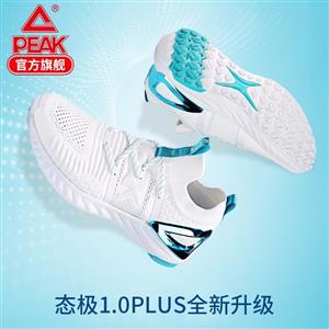 Peak Taiji running shoes 1.0 plus men shoes and sports shoes E92577H